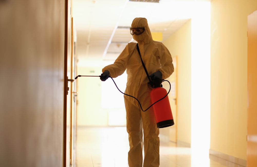 Disinfection Services