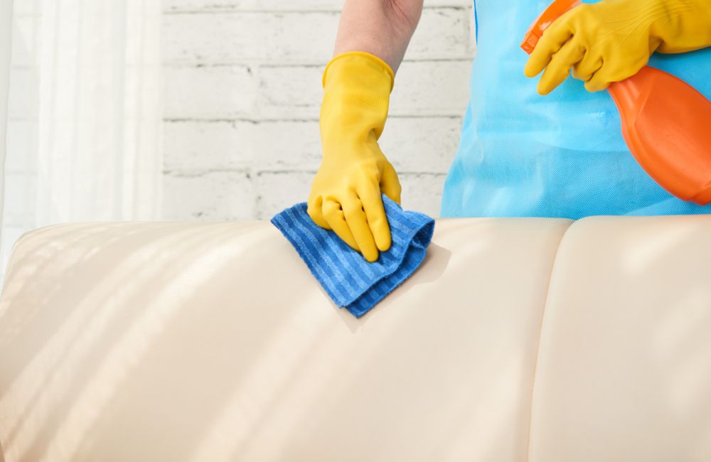 Sofa Shampooing