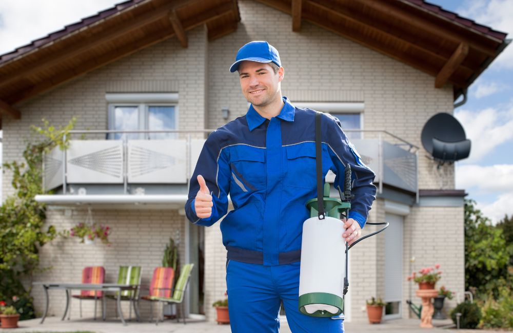Villa Pest Control Services in Dubai